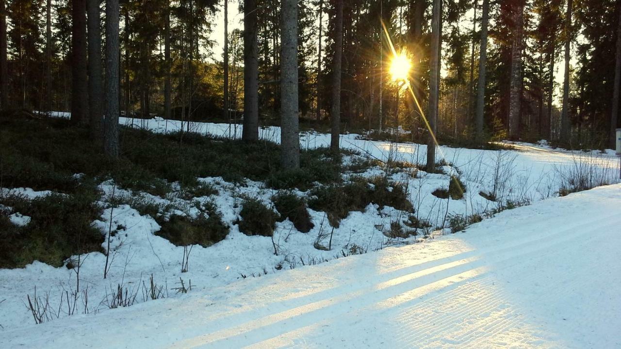 Valentin Cottage Enonkoski المظهر الخارجي الصورة