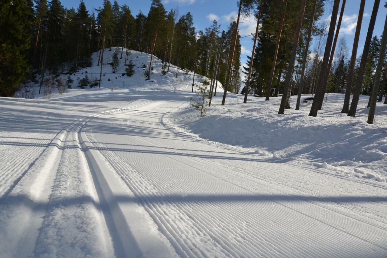 Valentin Cottage Enonkoski المظهر الخارجي الصورة